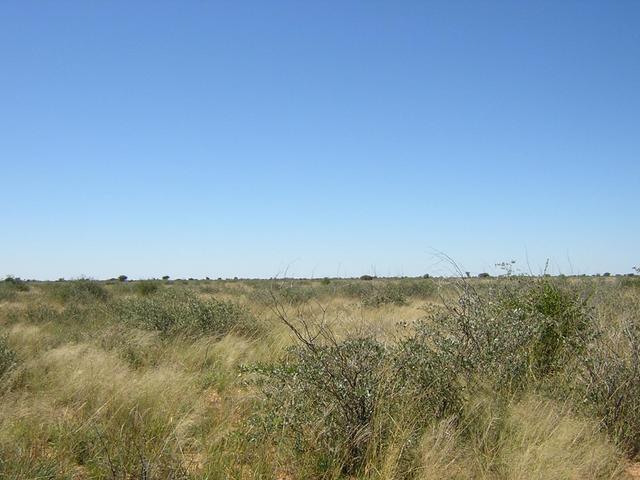 From Confluence looking East