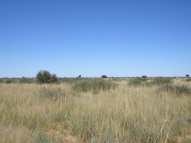 From Confluence looking South