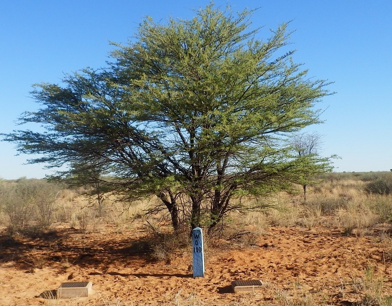 The Confluence Marker at the Roadside