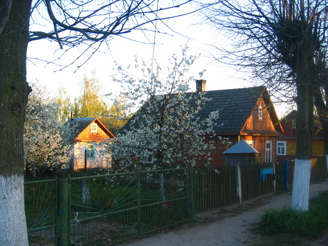 In the Town Svislač