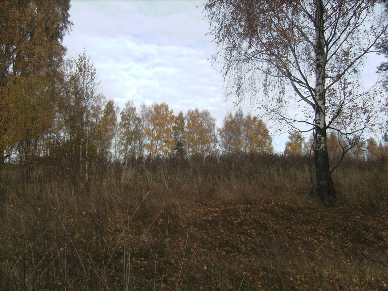 Blick nach Norden - View north