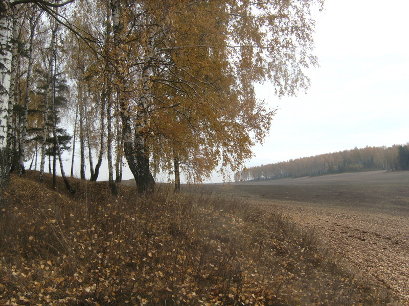 Blick nach Osten - View east