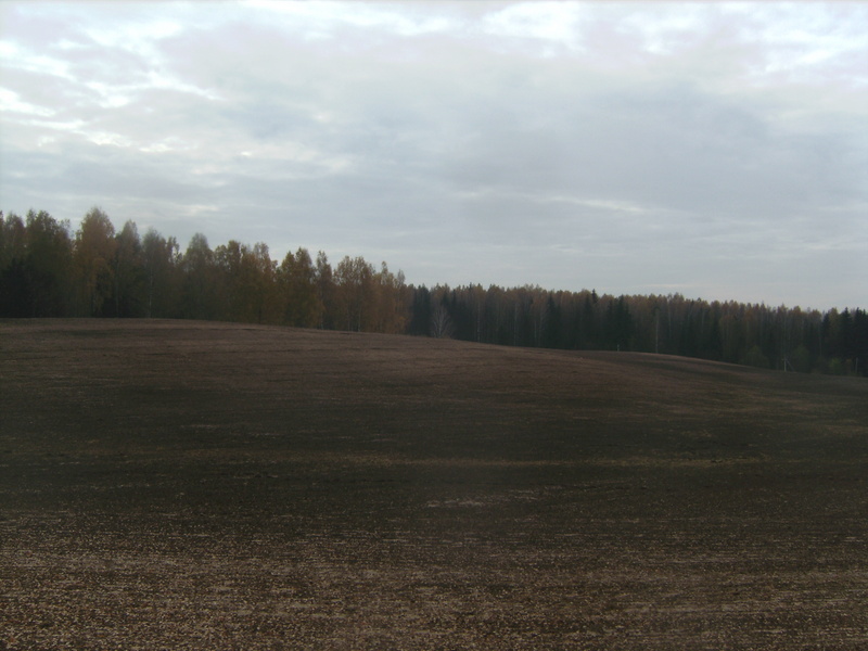 Blick nach Süden - View south