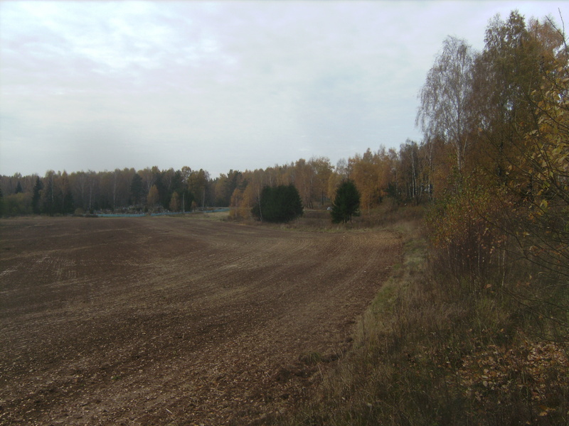 Blick nach Westen - View west