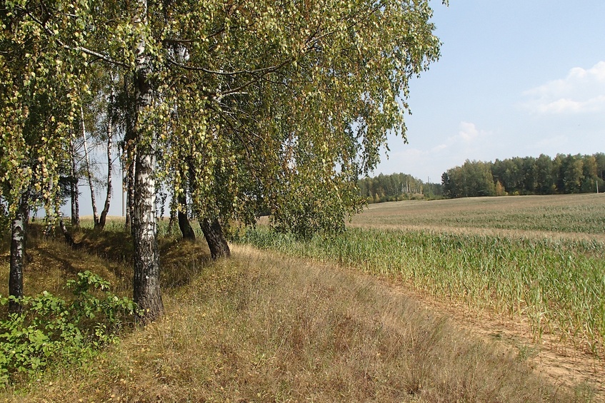 View to the east / Вид на восток