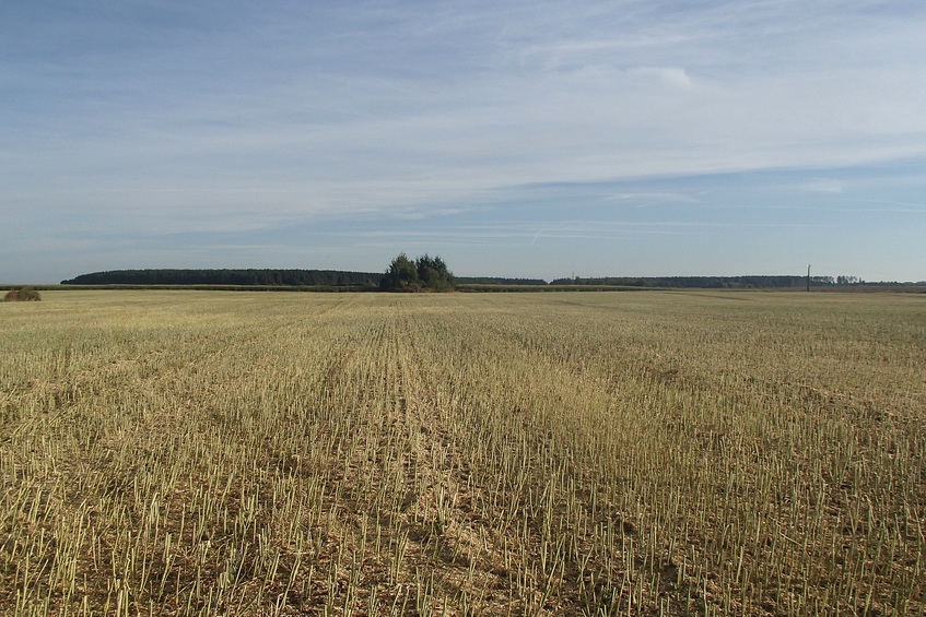 View to the north / Вид на север