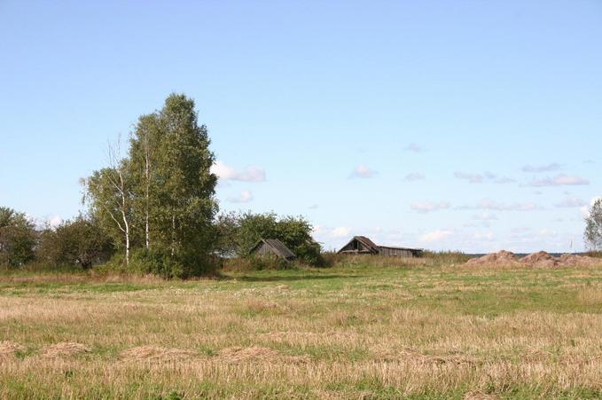 An abandoned cottage