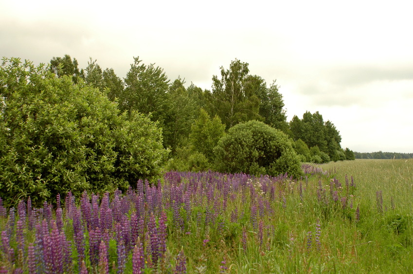 South-West view