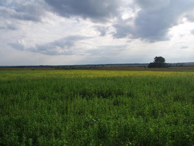 general view of the confluence