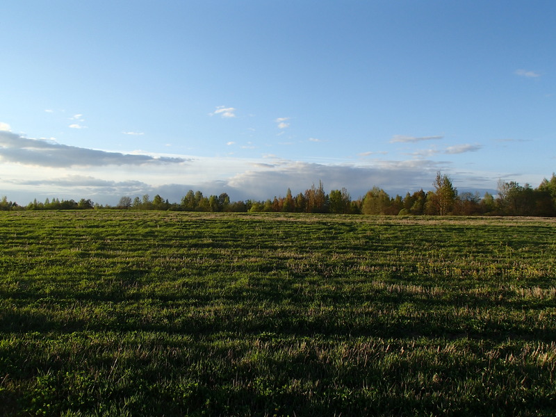 View to the north / Вид на север