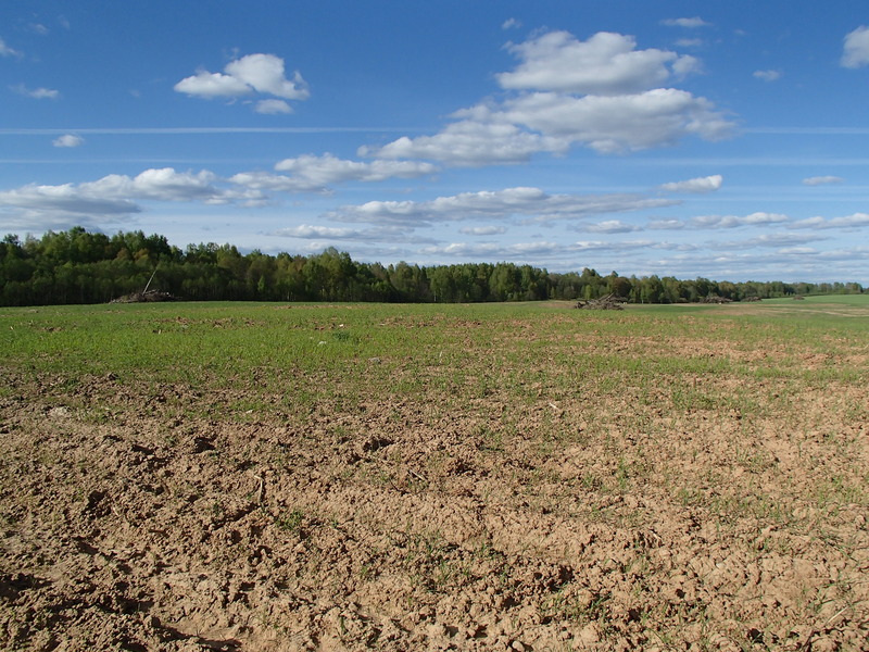 View to the north / Вид на север