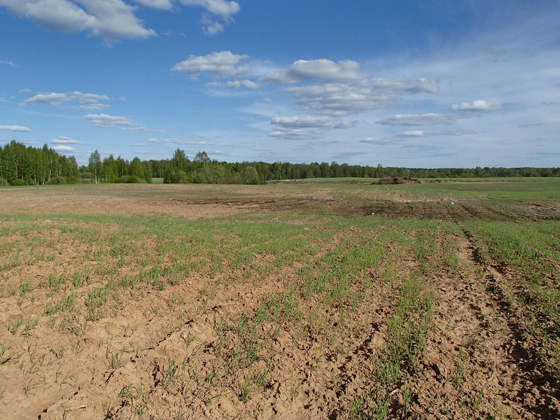 View to the east / Вид на восток