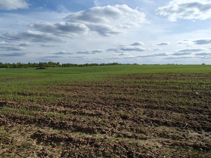 View to the south / Вид на юг