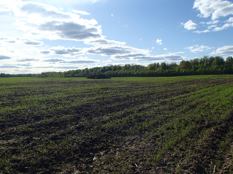 View to the west / Вид на запад