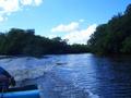 #3: The confluence of the Temash river and Sunday Wood creek