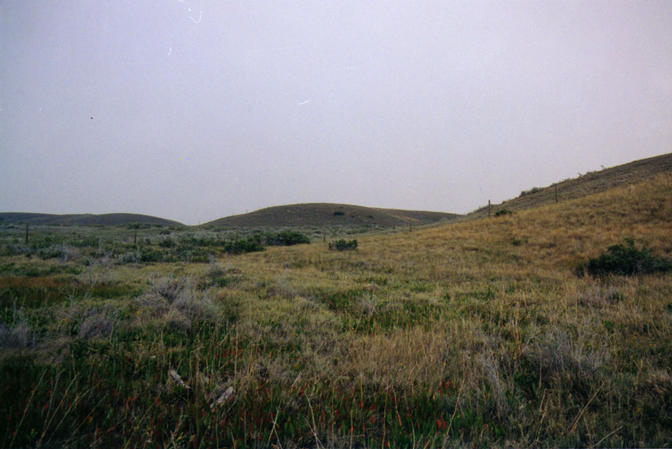 Looking east from confluence