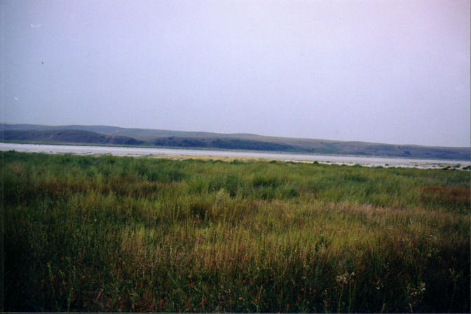 Looking west from confluence