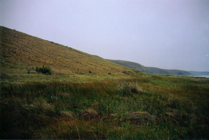 Looking south from confluence