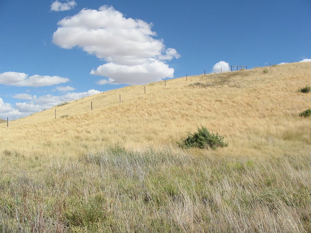 Looking east from Confluence