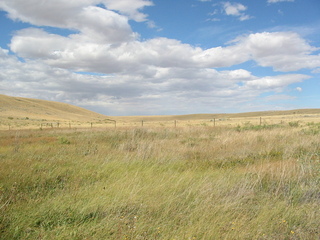 #1: Looking north from Confluence