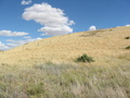 #3: Looking east from Confluence