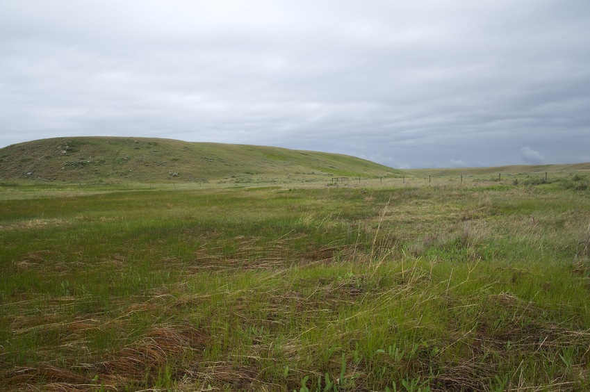 Looking North (farther into Alberta, Canada)