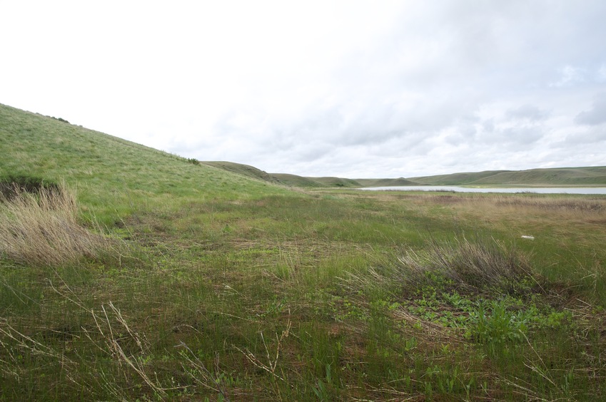 View South (towards the U.S., less than 200 metres away)