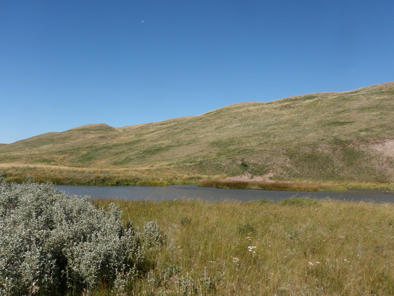 Confluence site from east side of the N Milk River