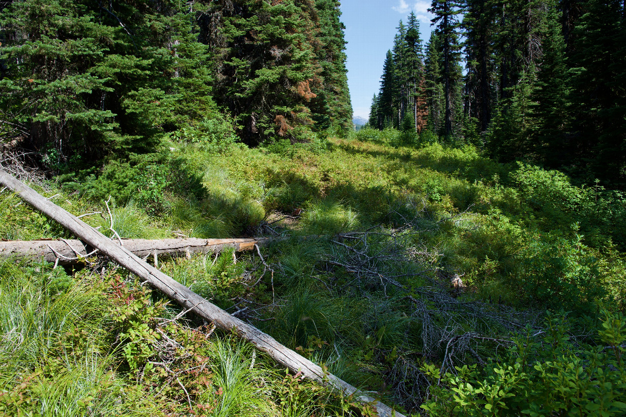 The Canada-US border cut at 114 Degrees West, 135m South of the point