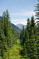 #9: Looking East from the Boundary Trail along the Canada-US border cut towards the point, 727m away