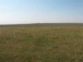 #3: The view South.  The "dots" in the far field are cows.