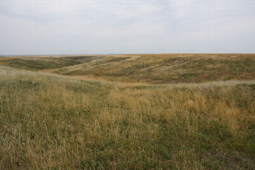 #1: The confluence point lies in fallow ranchland, among long grass.  (This is also a view to the West.)