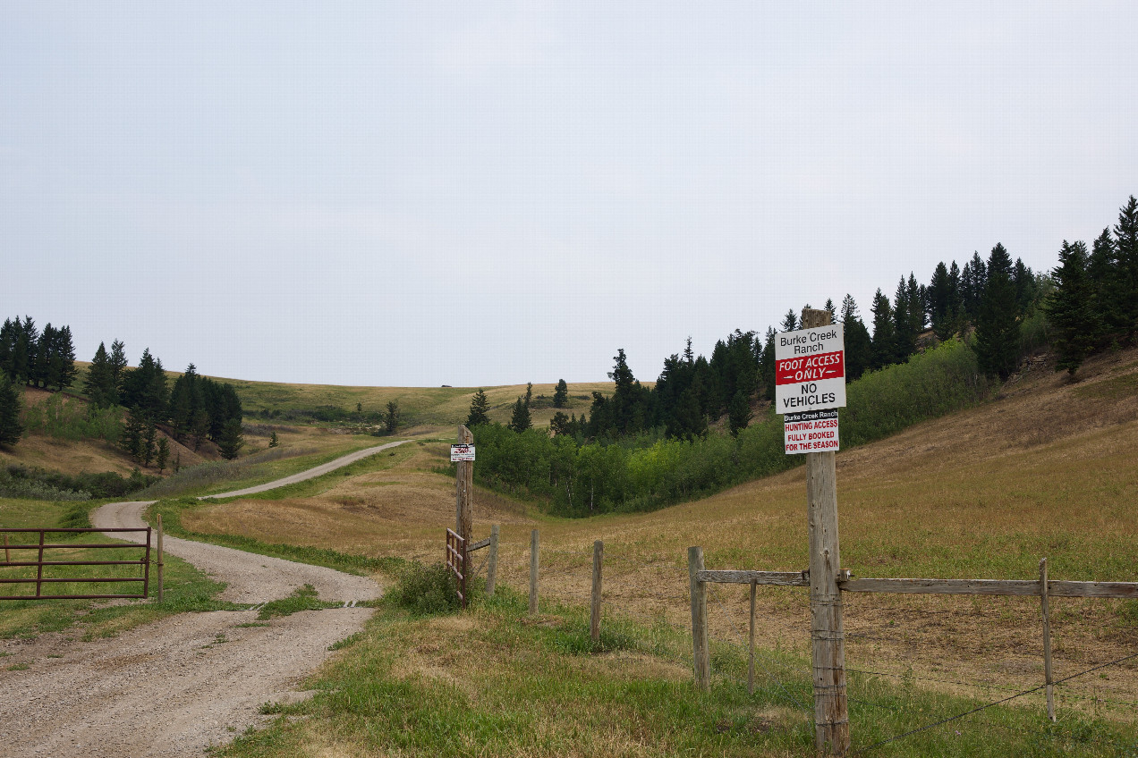 This farm road - 2.8km South of the point - appears to provide the most direct access, but is signposted “no trespassing”