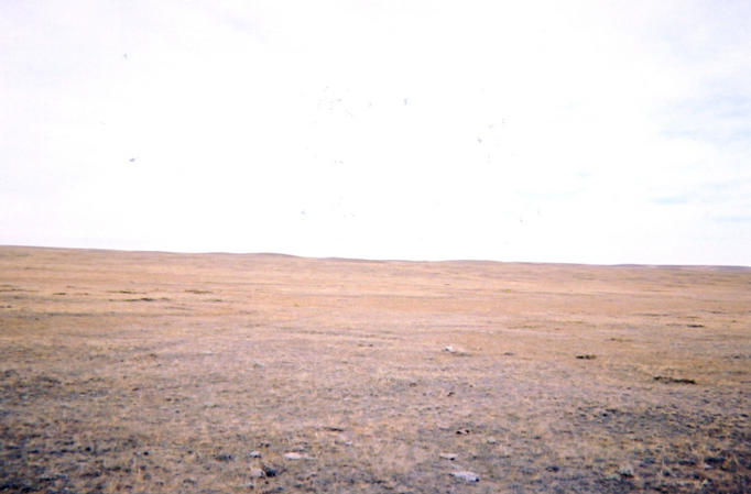 Looking north from confluence