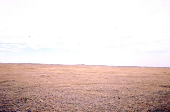 Looking east from confluence