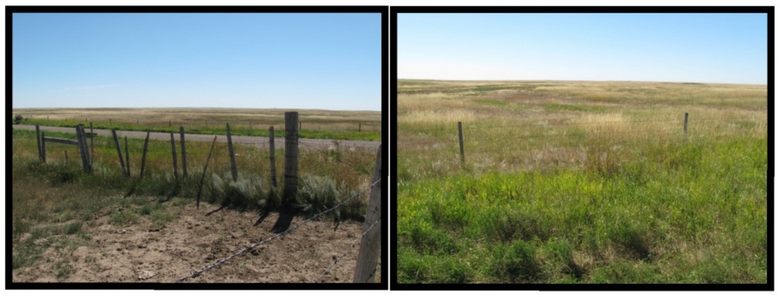 Homestead land where 100 years ago people had hopes and dreams.