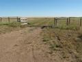 #7: Looking South into the confluence area.