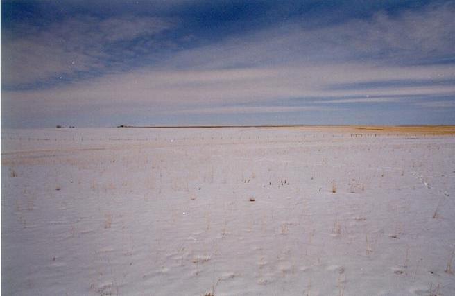 The view north while standing on the confluence