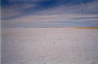 #1: The view north while standing on the confluence