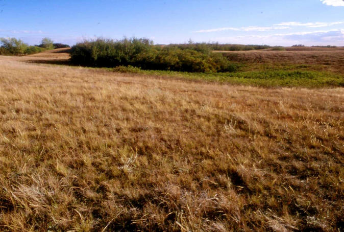 The view south from the confluence.