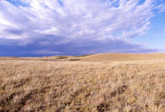 #1: The view north from the confluence.