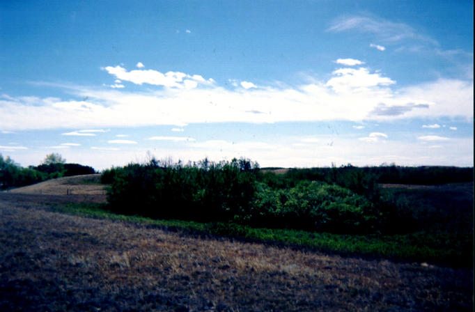 Looking south from confluence