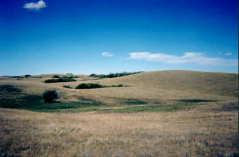 #1: Looking north from confluence