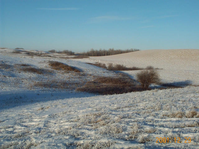 Looking north.