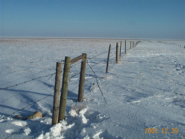 This road allowance leads to the lake.