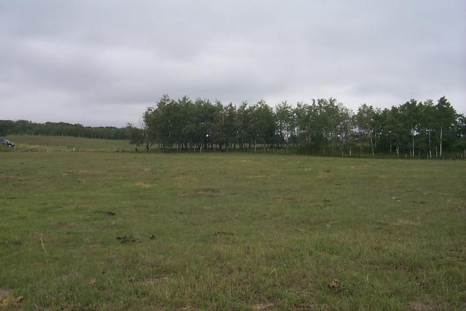 The view west from the confluence.