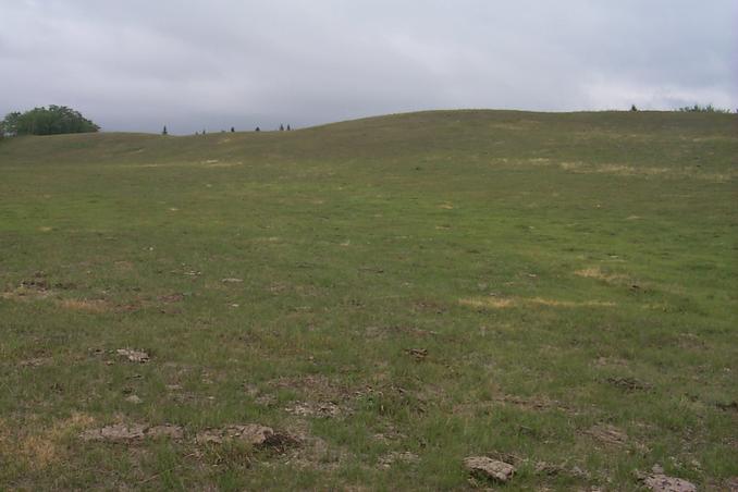 Looking north from the confluence.