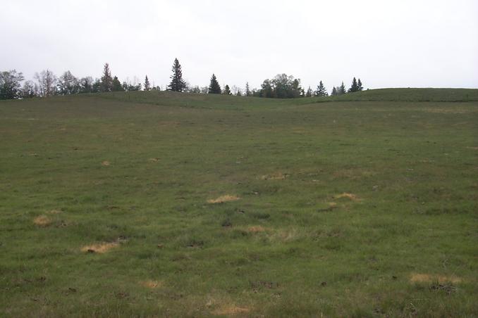 Looking east from the confluence.