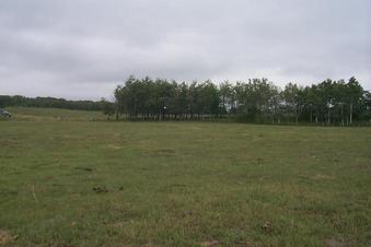 #1: The view west from the confluence.