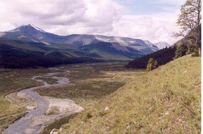 The valley near the confluence has extensive meadows.